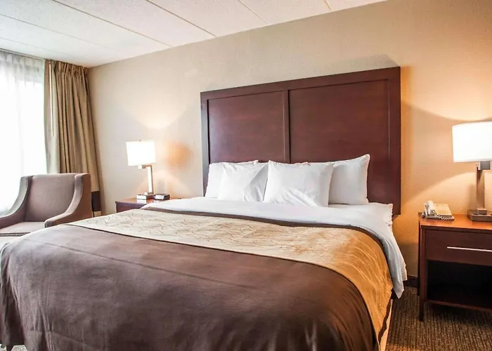 Quality & - Chicago Hotel Orland Park