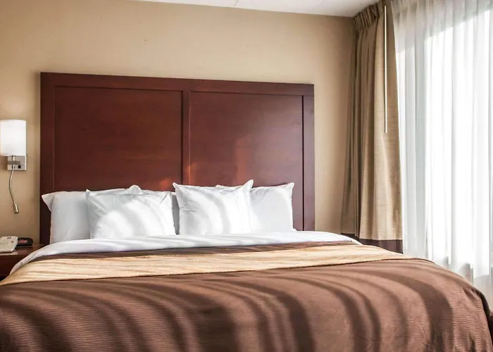 Hotel Quality & - Chicago 3*