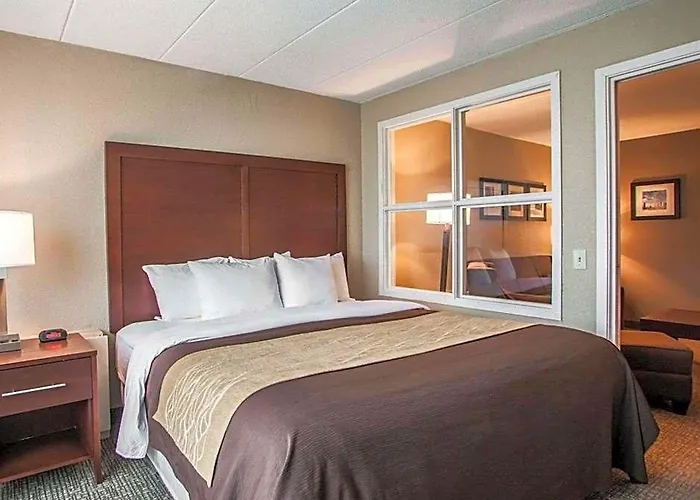 Quality & - Chicago Hotel
