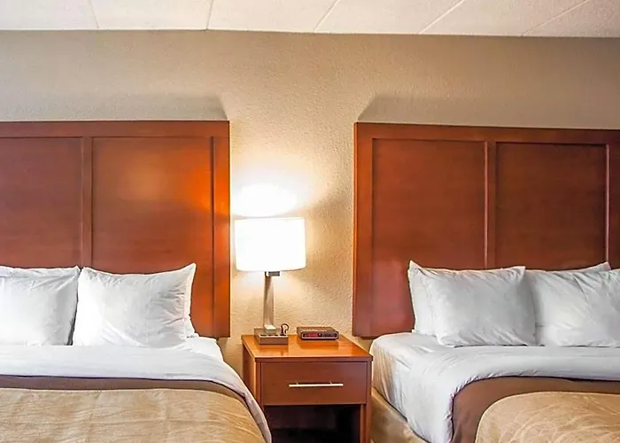 Hotel Quality & - Chicago