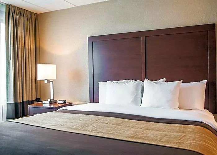 Quality & - Chicago Hotel