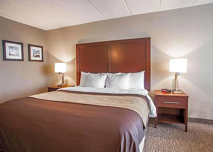 Hotel Quality & - Chicago Orland Park
