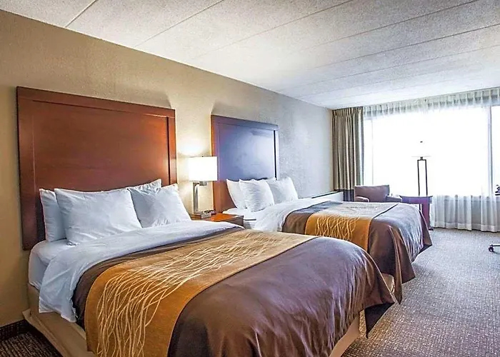 Quality & - Chicago 3* Orland Park