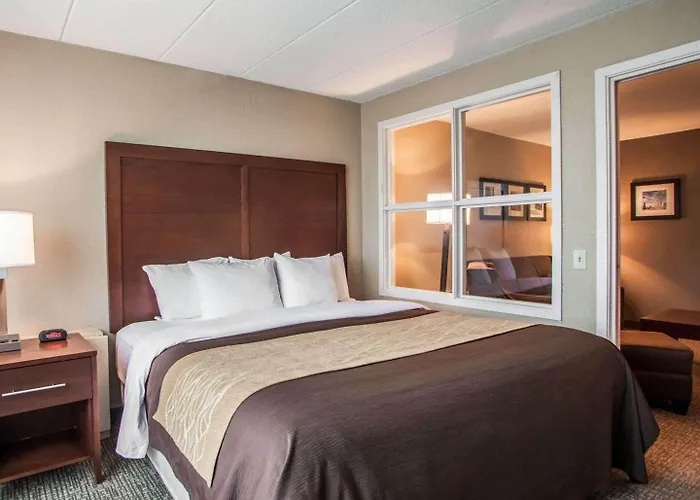 Hotel Quality & - Chicago Orland Park