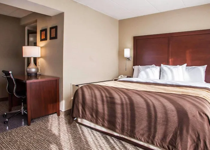 Hotel Quality & - Chicago Orland Park