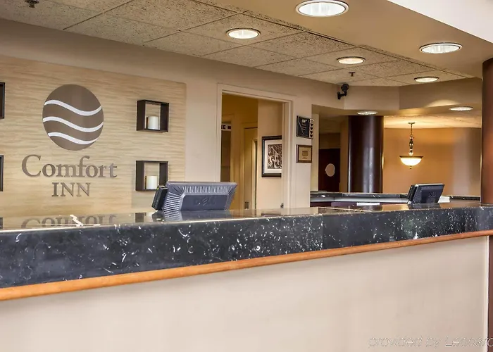 Quality & - Chicago Hotel 3*