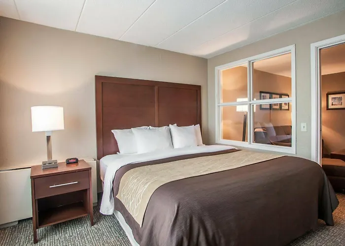 Hotel Quality & - Chicago 3*